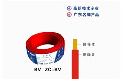 60227 IEC 01(BV) 60227 IEC 01(BV)